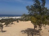 Girne/Esentepede satılık 1300m2 arsa