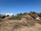 Girne’nin kalbinde satılık Türk Koçanlı Arazi