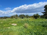 Girne/Karaağaç'ta satılık arazi