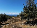 Girne/Karaağaç bölgesi satılık 768m2 arsa
