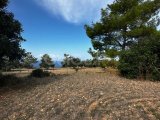 Girne/Karaağaç'da satılık 6 dönüm 1 evlek arazi