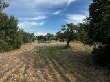 Girne/Karaağaç'da satılık 6 dönüm 1 evlek arazi