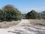 Girne/Karşıyakada satılık 15,650m2 arazi
