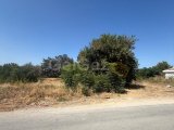 Girne/karşıyaka'da denize 300m mesafede satılık arazi