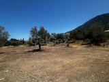 Girne/Lapta’da satılık 1600m2 arsa