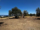 Girne/Lapta’da satılık 1600m2 arsa