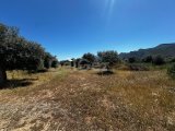 Girne/Ozanköy'de satılık 2 dönüm 2 evlek arazi