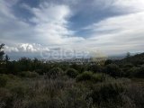 Girne ciglos bölgesi satılık arsa