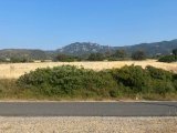 Mağusa/Tatlısu’da satılık 5000m2 arazi