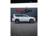 2024 Model Land Cruiser Prado TZ-G