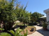 Girne’ye Çatalköy’de satılık 3 + 1 havuzlu müstakil ev