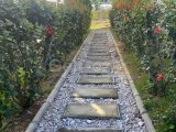 Girne Zeytinlik'te 2+1 satılık daire