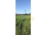 ⭐️Sole Agent⭐️ Çamlıbel’de 5.700 m² İmarlı ve Doğa ile İç İçe Fırsat ????