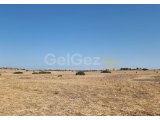HP2785 - FASIL 96 İNŞA İZİNLİ 15 DÖNÜM ARAZİ