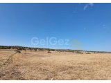 HP2785 - FASIL 96 İNŞA İZİNLİ 15 DÖNÜM ARAZİ