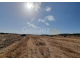 HP2785 - FASIL 96 İNŞA İZİNLİ 15 DÖNÜM ARAZİ