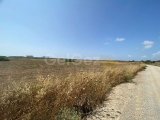 8 DONUMS OF LAND IN BAFRA