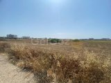 8 DONUMS OF LAND IN BAFRA