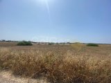 8 DONUMS OF LAND IN BAFRA