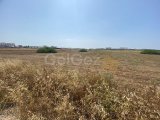 8 DONUMS OF LAND IN BAFRA