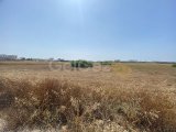 8 DONUMS OF LAND IN BAFRA