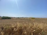 8 DONUMS OF LAND IN BAFRA