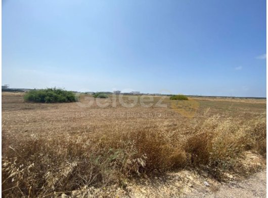 8 DONUMS OF LAND IN BAFRA