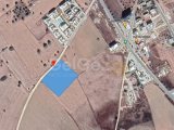 8 DONUMS OF LAND IN BAFRA