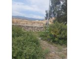Boğaz İskele'de 525 m² Arsa