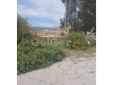 Boğaz İskele'de 525 m² Arsa