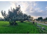 1,086 m2 BUILDING PLOT WITH AMAZING SEA VIEWS – KUMYALI