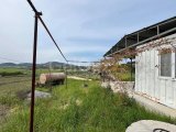 Kuruova'da 4 Dönüm Türk Malı Arsa