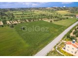 3 DONUMS IN MEHMETCIK (4014 square metres)