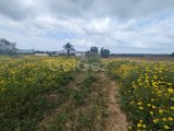 4 DONUMS OF LAND IN THE BEAUTIFUL TOWN OF MEHMETCIK