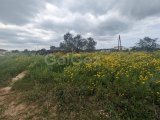 4 DONUMS OF LAND IN THE BEAUTIFUL TOWN OF MEHMETCIK