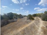 3.772 m² Türk Mülkiyetli Arsa - Yedikonuk (2 Bitişik Parsel)