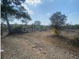 3.772 m² Türk Mülkiyetli Arsa - Yedikonuk (2 Bitişik Parsel)