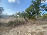 3.772 m² Türk Mülkiyetli Arsa - Yedikonuk (2 Bitişik Parsel)