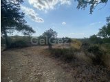 3.772 m² Türk Mülkiyetli Arsa - Yedikonuk (2 Bitişik Parsel)