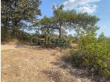 3.772 m² Türk Mülkiyetli Arsa - Yedikonuk (2 Bitişik Parsel)