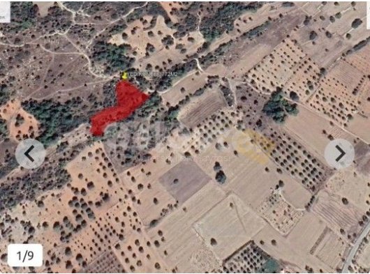 3.772 m² Türk Mülkiyetli Arsa - Yedikonuk (2 Bitişik Parsel)