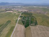 ASLANKÖY'DE 520M2 İLE 733M2 ARASINDAKİ ARSALARIN FİYATLARI 49.900£'DAN BAŞLIYOR.