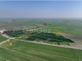 ASLANKÖY'DE 520M2 İLE 733M2 ARASINDAKİ ARSALARIN FİYATLARI 49.900£'DAN BAŞLIYOR.