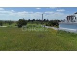 600 M2 ARSA MUTLUYAKA/TUZLA SINIRI