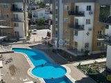 Havuzlu Sıfır Daire - Taşınmaya Hazır