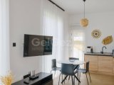 Modern 1+1 Daire – Tasınmaya Hazır