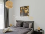 Modern 1+1 Daire – Tasınmaya Hazır