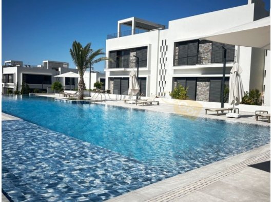 Modern 1+1 Daire – Tasınmaya Hazır