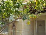 Turtle Bay Village - Taşınmaya Hazır 3+1 Daire