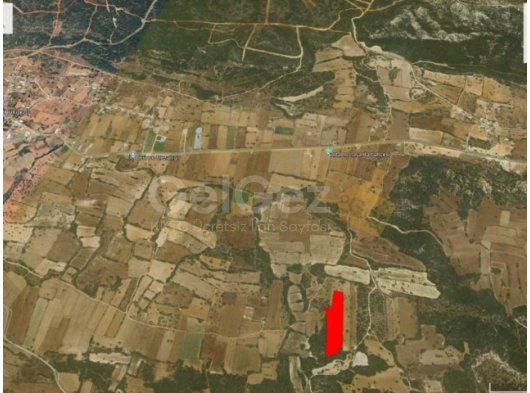 İSKELE DERİNCE KÖYÜNDE SATILIK TARLA